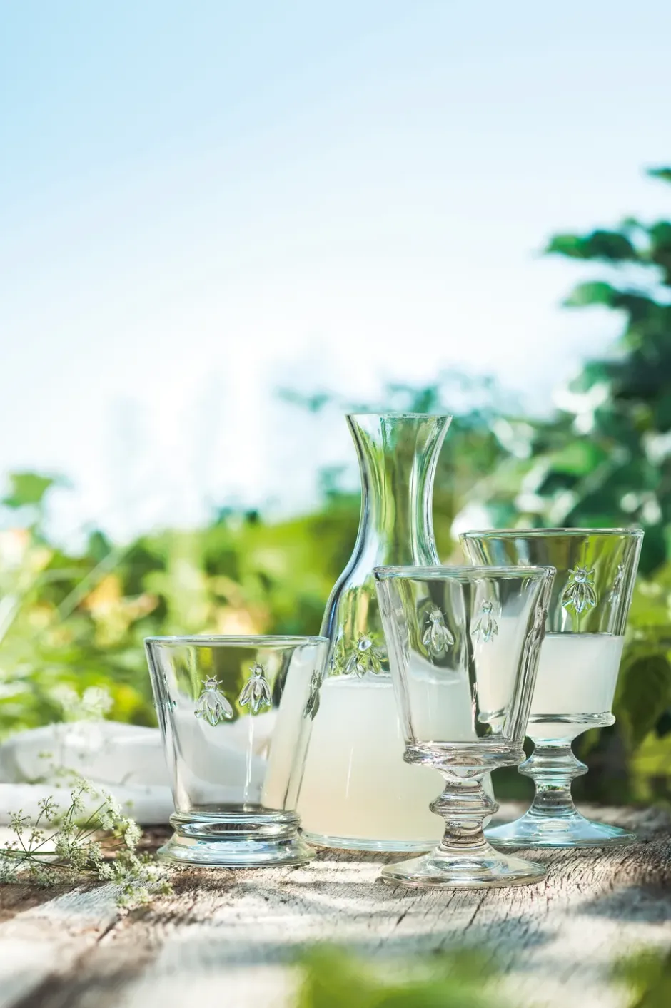 Abeille vinglas 24 cl 6-pack, Klar