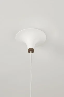Acorn taklampa, Mattvit