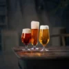 Beer lager ölglas 4-pack, 60 cl