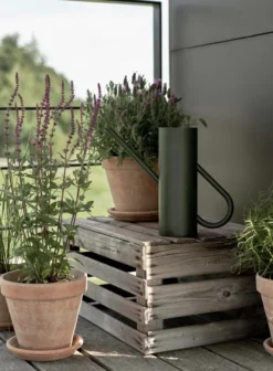 Bloom vattenkanna 2 liter, Pine
