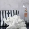 Coral fan, White