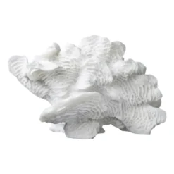 Coral fan, White