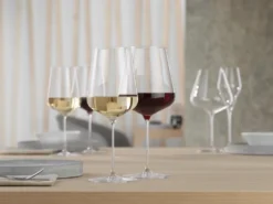 Definition Bordeaux rödvinsglas 75 cl 2-pack, Klar