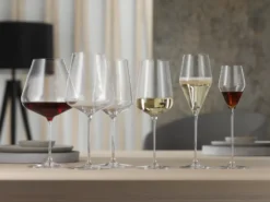 Definition champagneglas 25 cl 2-pack, Klar