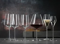 Definition rödvinsglas/vitvinsglas 55 cl 2-pack, Klar