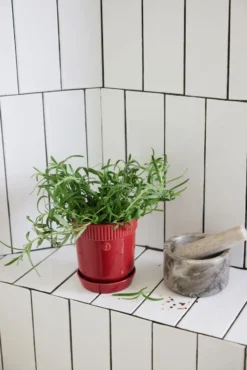 Elise örtkruka Ø11 cm, Vinröd