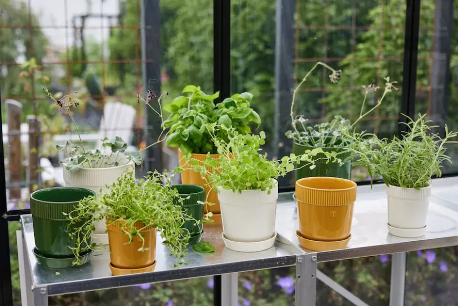 Elise örtkruka Ø11 cm, Vit