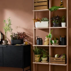 Eva Solo självvattnande herb organiser, Svart
