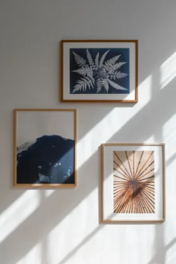 Fern star poster, 40x50 cm