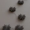 Garland girlang flinga, Mole