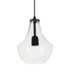 Hamilton taklampa 21 cm, Klar-svart