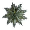Helena adventsstjärna Ø44 cm, Green