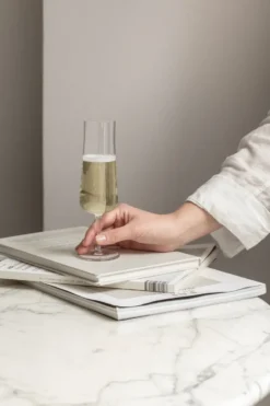 Informal champagneglas 22 cl 2-pack, Klar