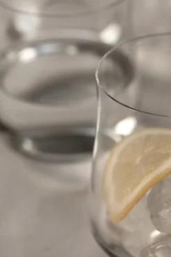 Informal dricksglas 25 cl 2-pack, Klar