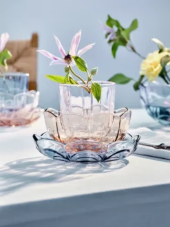 Lily vattenglas 32 cl 2-pack, Cherry blossom