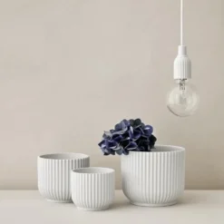 Lyngby blomkruka vit, Ø11,5 cm