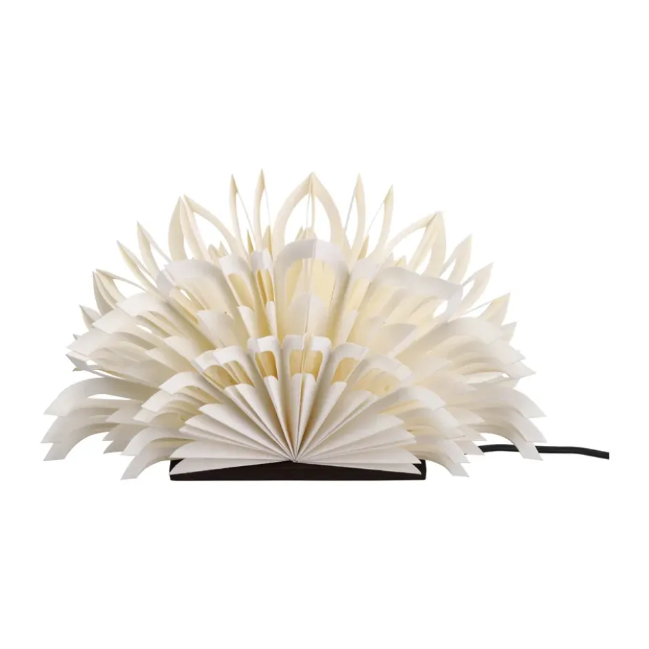 Mezza Clara bordsstjärna, White-coffee