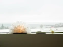 Mezza Snöblomma bordsstjärna, White-coffee