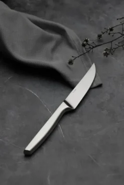 Norm grillkniv 4-pack, Matt rostfritt stål