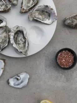 Oyster tallrik Ø27 cm, Vit