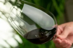 Performance Cabernet-Merlot vinglas 4 st, 84 cl