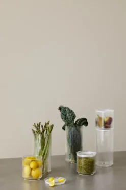 Pilastro förvaringsburk clear, 0,6 liter