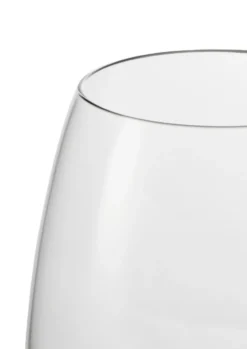 Premium ölglas 60 cl 2-pack, Klar