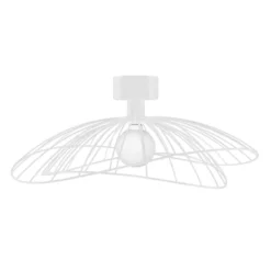 Ray plafond, Vit