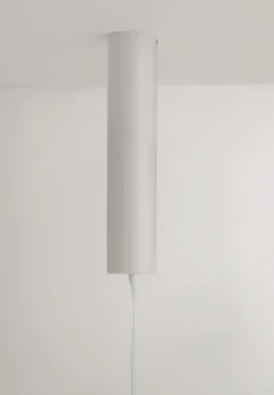 Reb takkrok, White