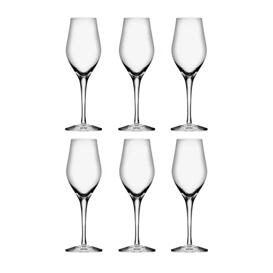 Sense champagneglas 25,5 cl 6-pack, Klar