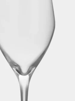 Sense champagneglas 25,5 cl 6-pack, Klar