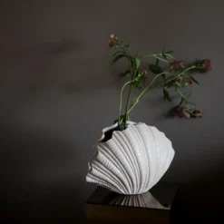 Shell vas, Vit