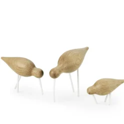 Shorebird ek-vit, mellan