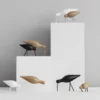 Shorebird svart, mellan