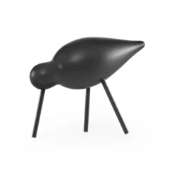 Shorebird svart, mellan
