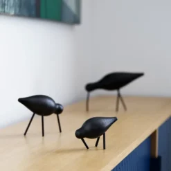 Shorebird svart, mellan
