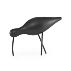 Shorebird svart, stor