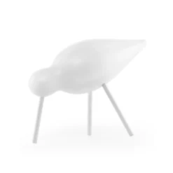 Shorebird vit, mellan