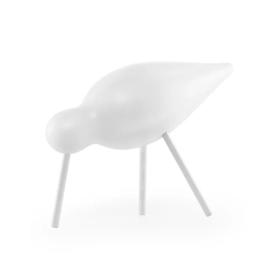 Shorebird vit, mellan