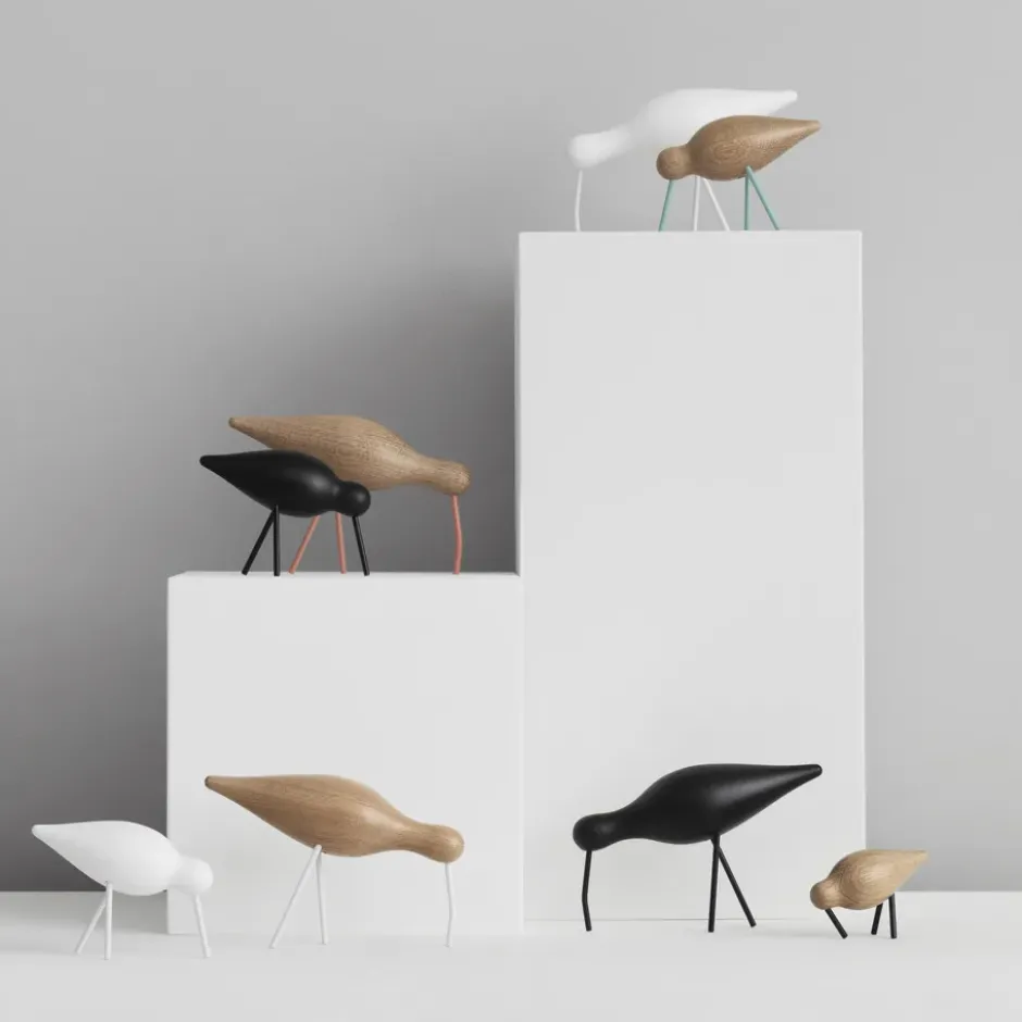 Shorebird vit, mellan