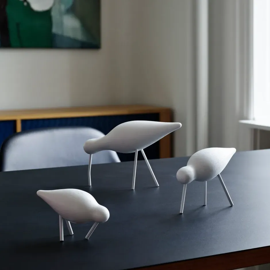 Shorebird vit, mellan