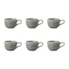 Terra kopp 20 cl 6-pack, Pearl Grey
