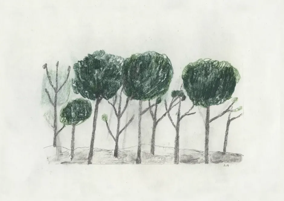 Trees poster 50x70 cm, Svart- off white
