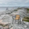 Vig Robinia karmstol, Svart