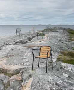 Vig Robinia karmstol, Svart